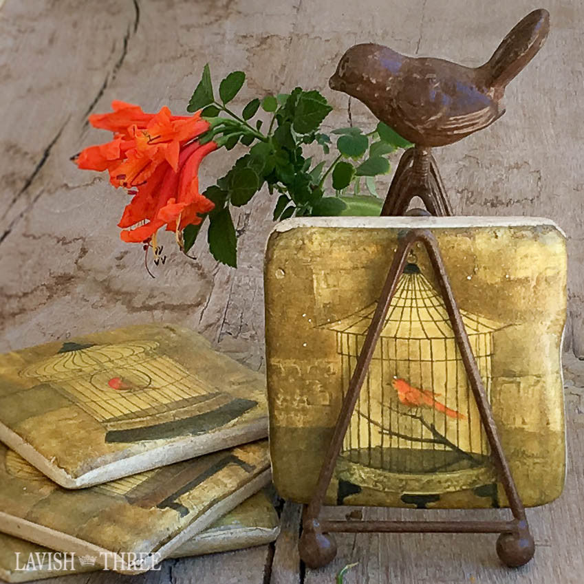 Bird lover vintage cage coaster set Lavish three 3