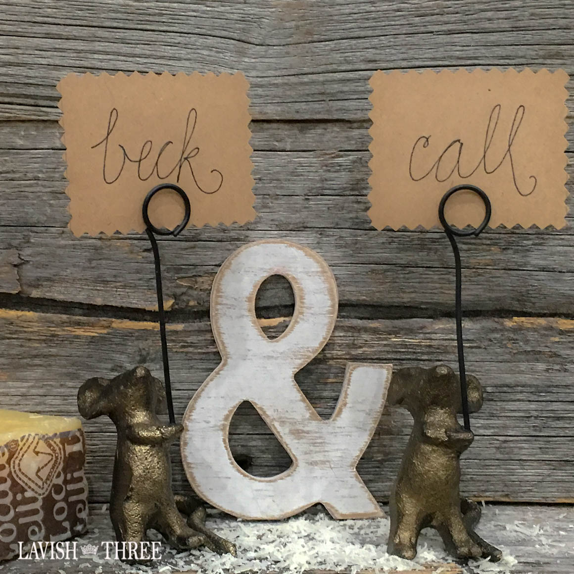 What's nice about MICE? card holder displays ~ set of 2
