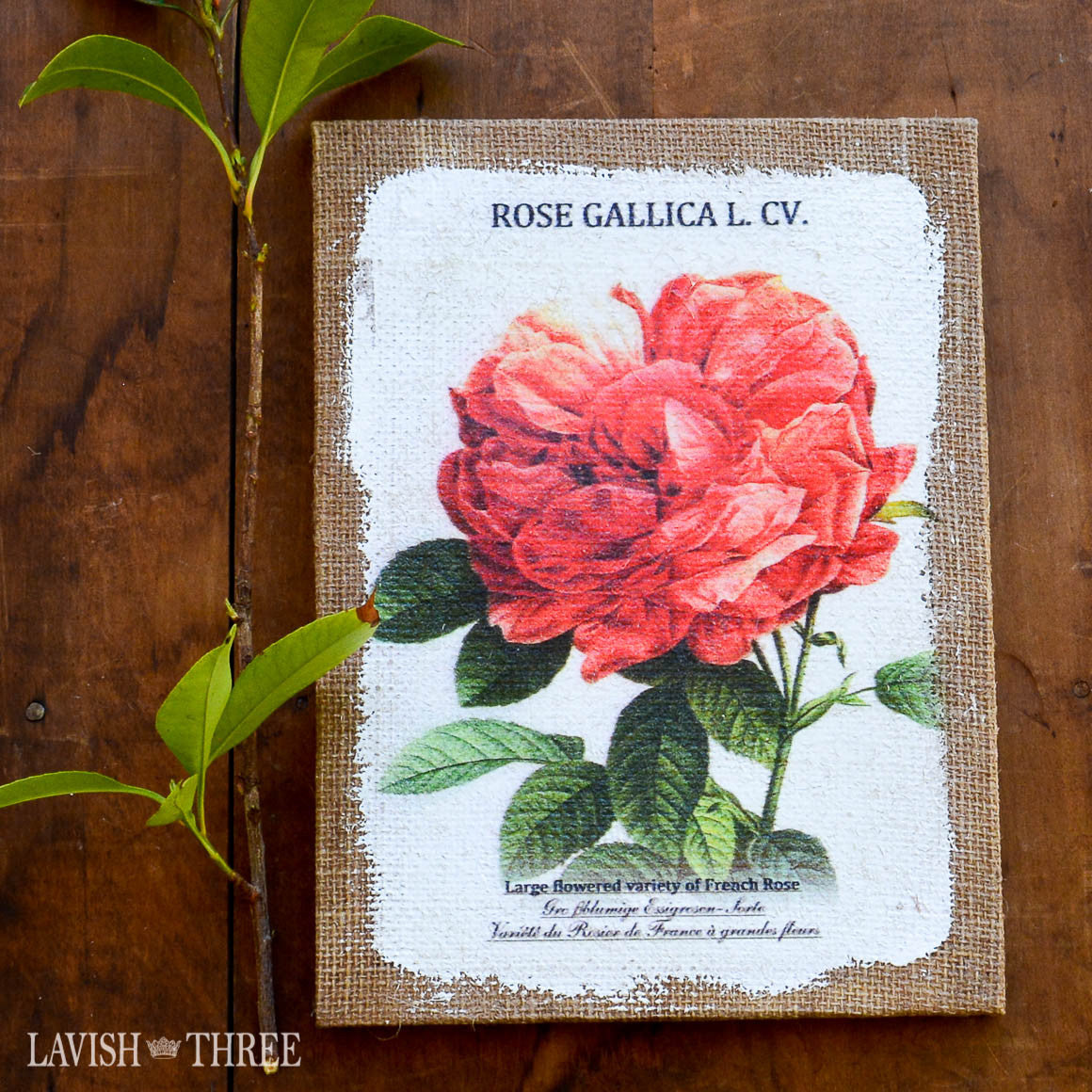 Painted rose on burlap canvas wall art decor set of 3