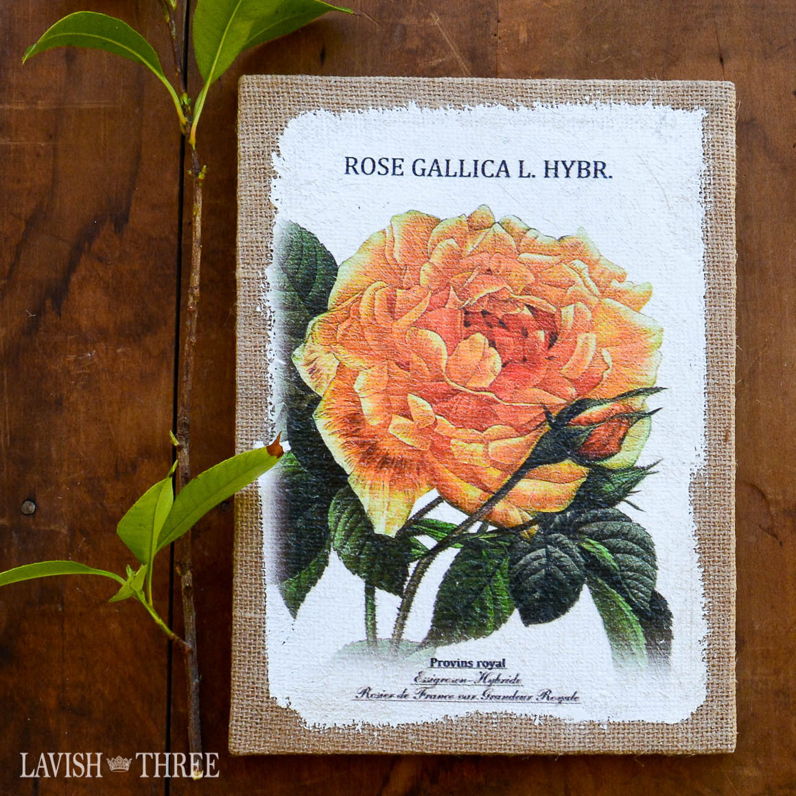 Painted rose on burlap canvas trio set wall art decor