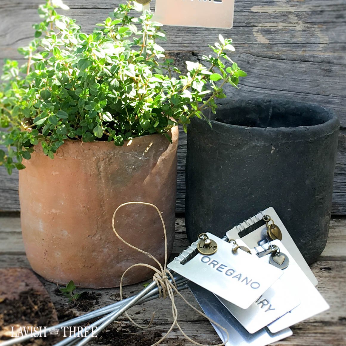 Garden cement pot for herbs or florals in charcoal black, terra cotta –  Lavish Three