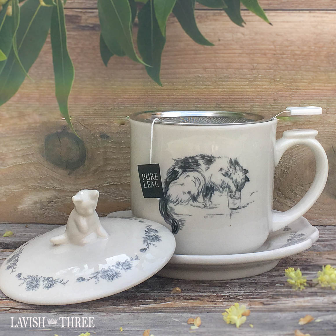 Cat kitten lover tea set with cup saucer and strainer Lavish Three 3