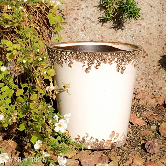 shabby chic plant pot "Crackled Cache" pot ~ white lace