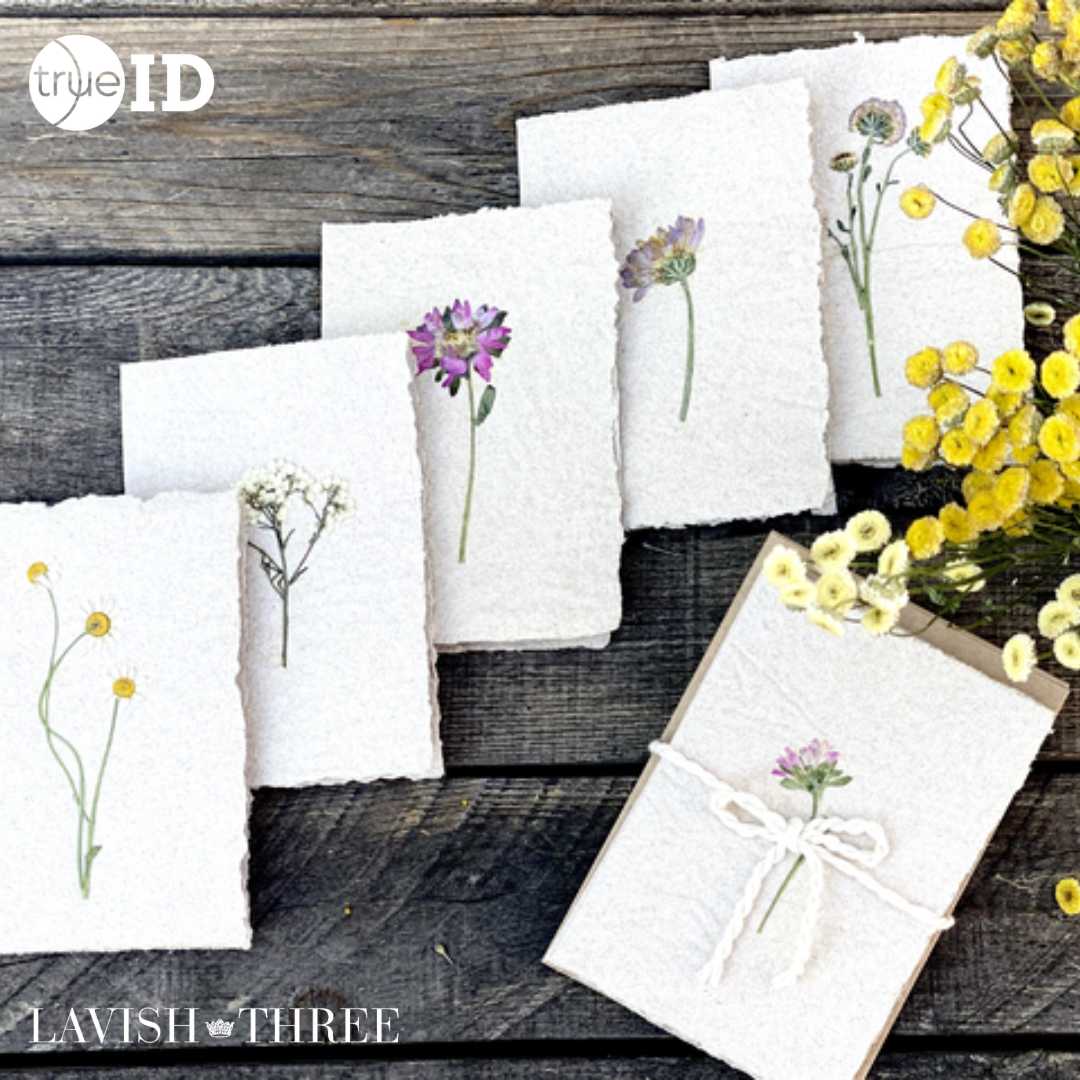 Lavish Three Card Set