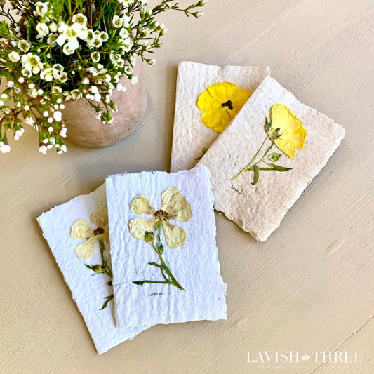 Love Is... Lemon + Lace Card Set of 4