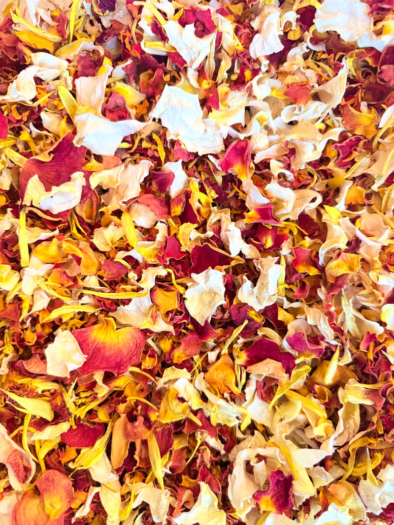 Autumn Harvest