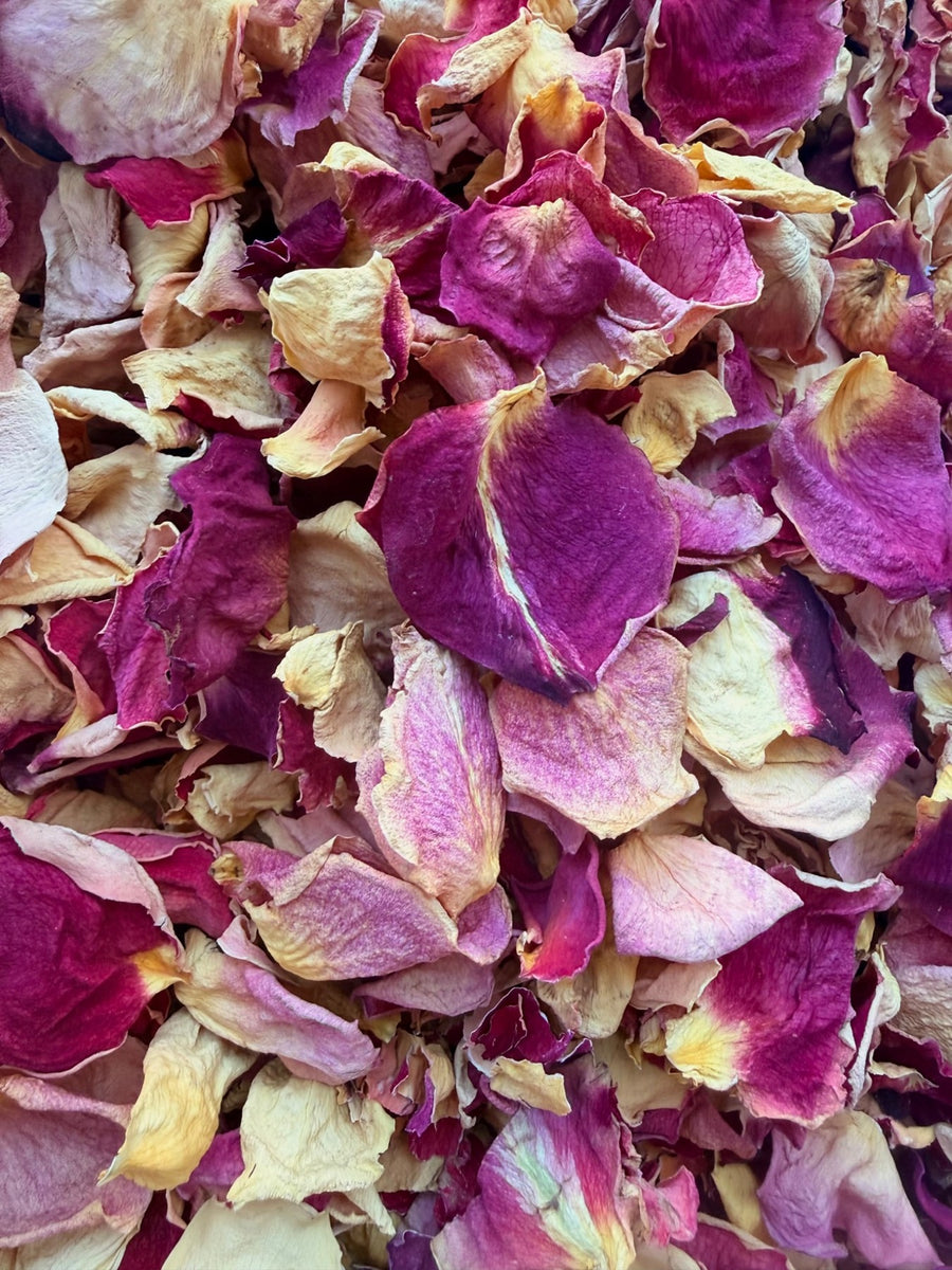 Antique Rosé: Cream · antique pink · wine, with naturally varied shapes and textures
