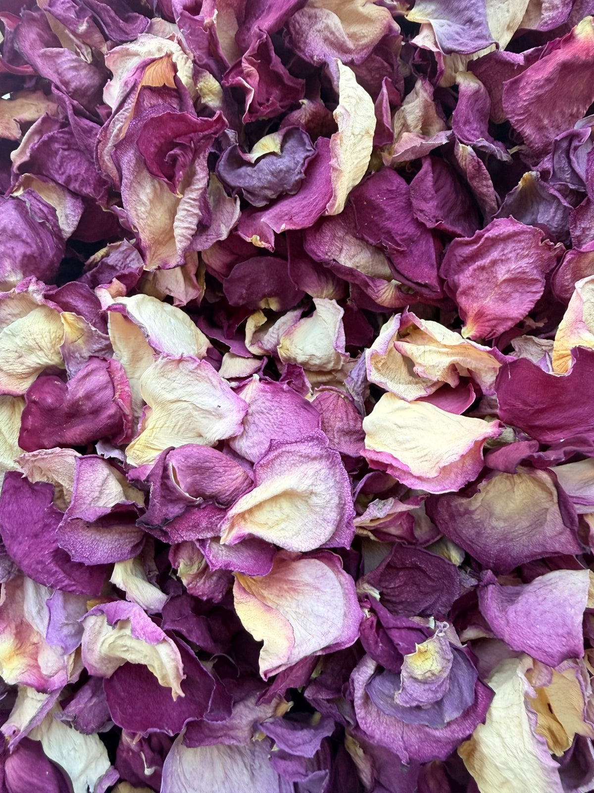 Berry Velvet: Berry · plum · creamy ivory, with naturally varied shapes and textures