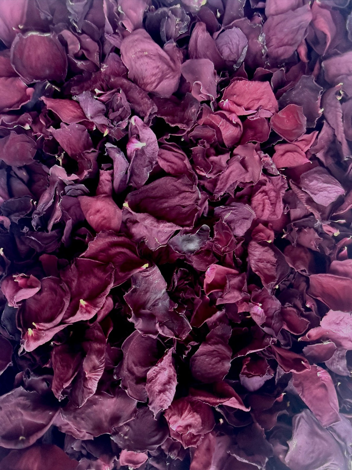 Burgundy Reverie: Burgundy · deep wine · dusky plum, with naturally varied shapes and textures