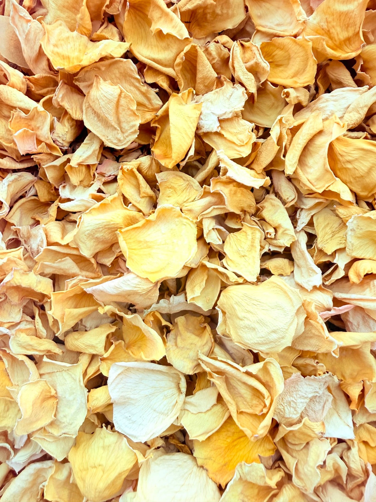 Golden Hour: Deeper yellow · golden butter, with naturally varied shapes and textures