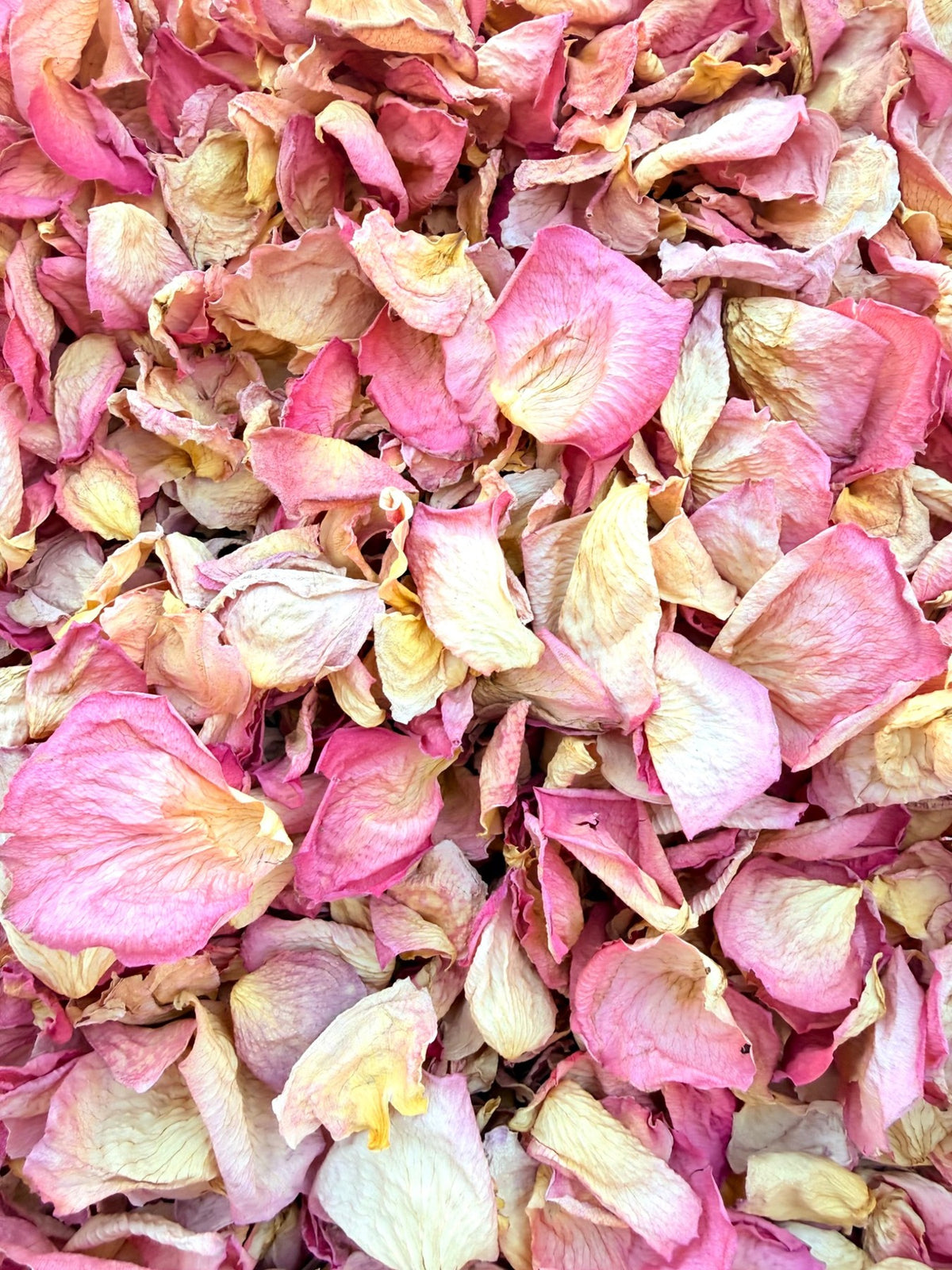 Rosewater: Rose pink · ivory · warm cream, with naturally varied shapes and textures