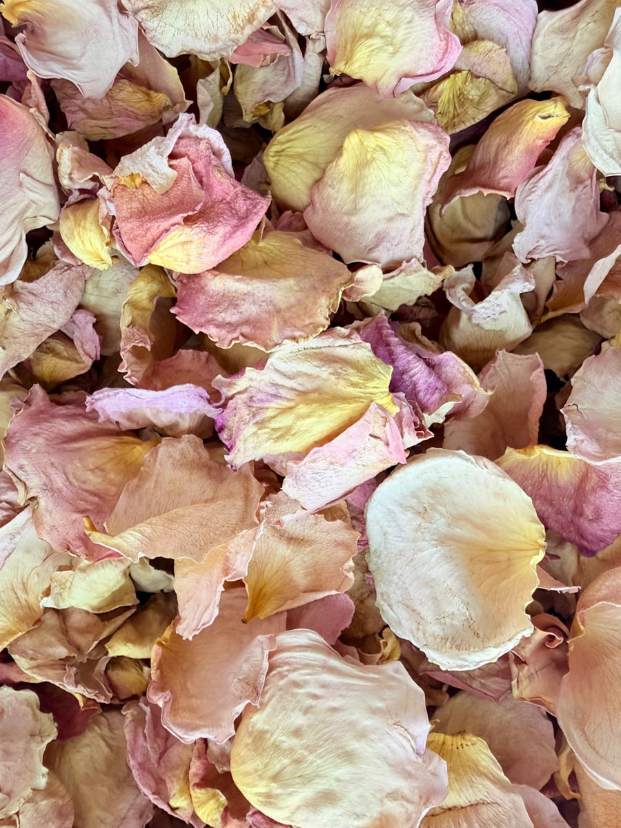 Vintage Blush: Cream · blush · soft peach, with naturally varied shapes and textures