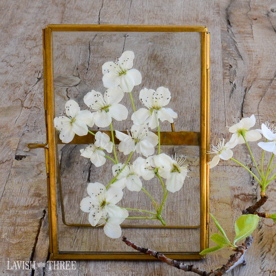 Heirloom brass and glass hinged vintage style standing floating frame 4x6