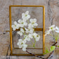 Heirloom brass and glass hinged vintage style standing floating frame 4x6