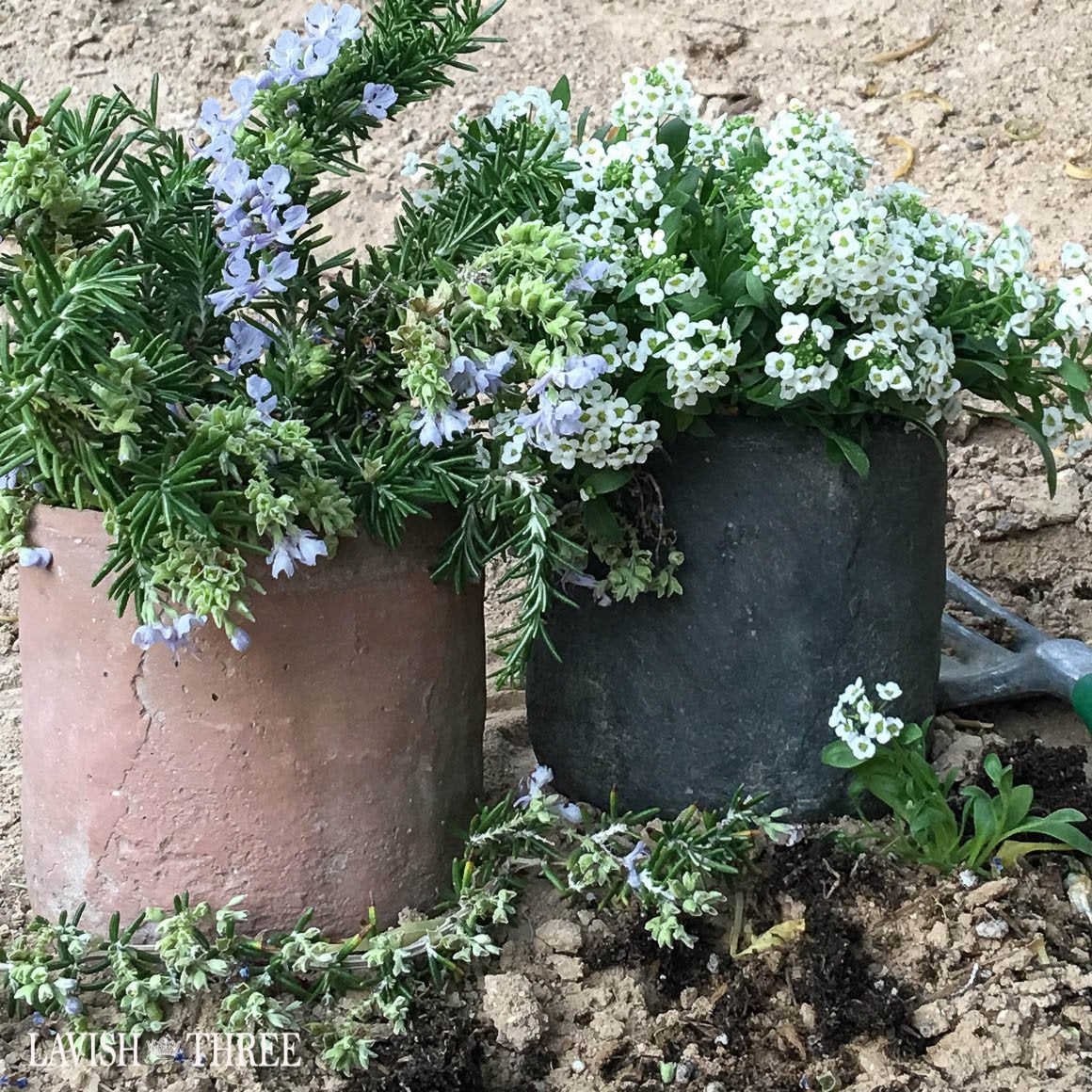 Cement Planter craft storage pot terra cotta or black Lavish three