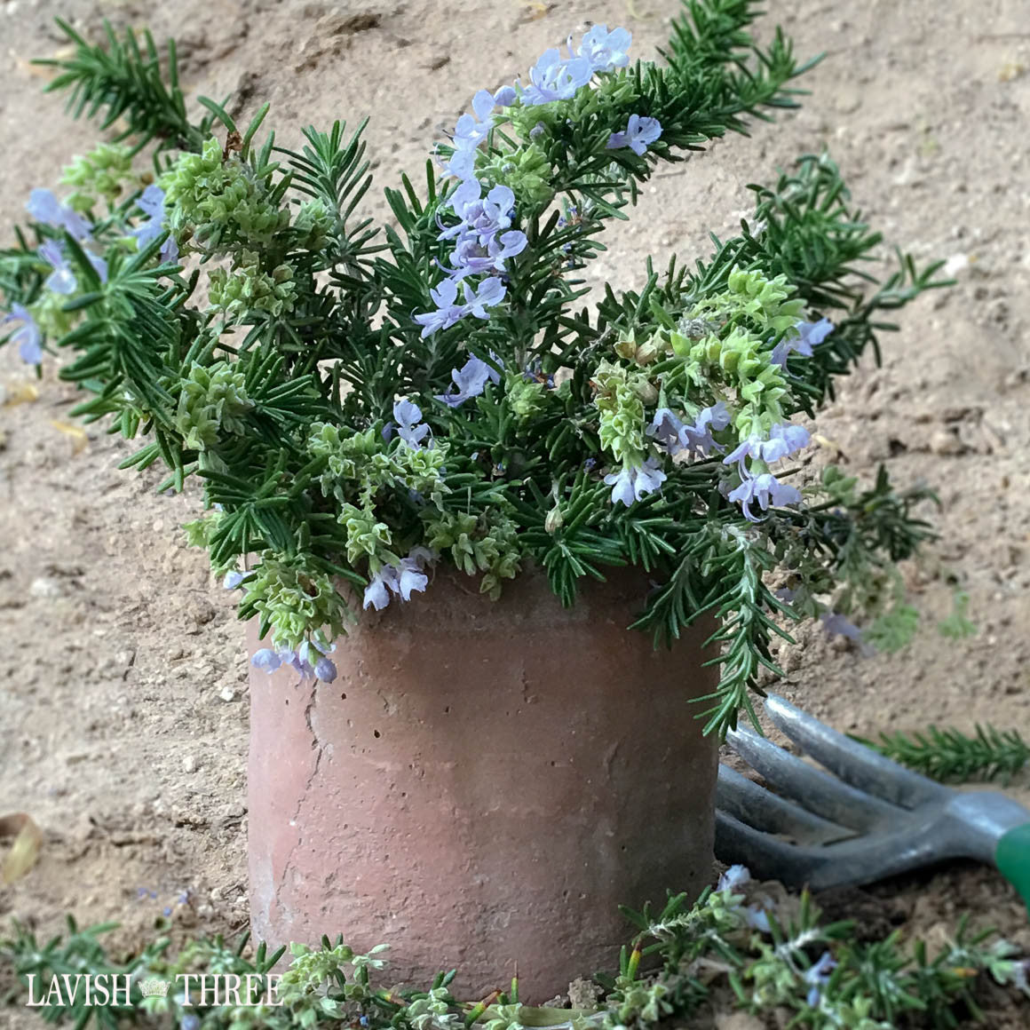 Garden cement Flower herb pot planter Lavish Three