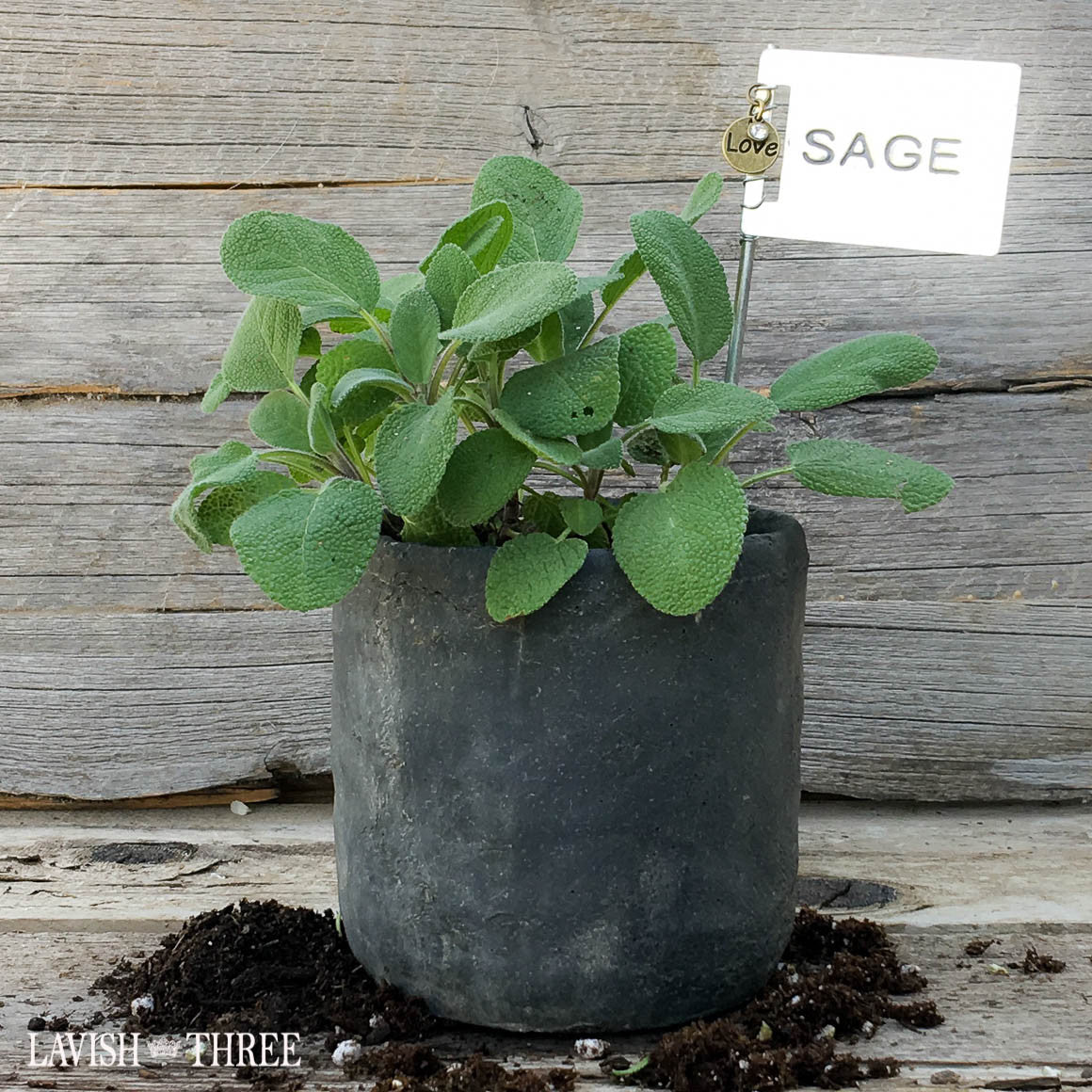 Cement Planter craft storage pot terra cotta or black Lavish three
