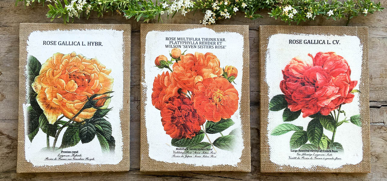 Painted rose on burlap canvas wall art decor set of 3