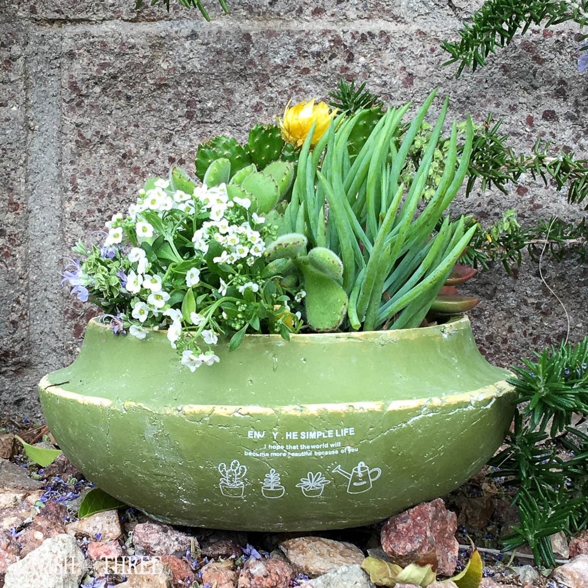 Enjoy the simple life garden cement planter for herbs or