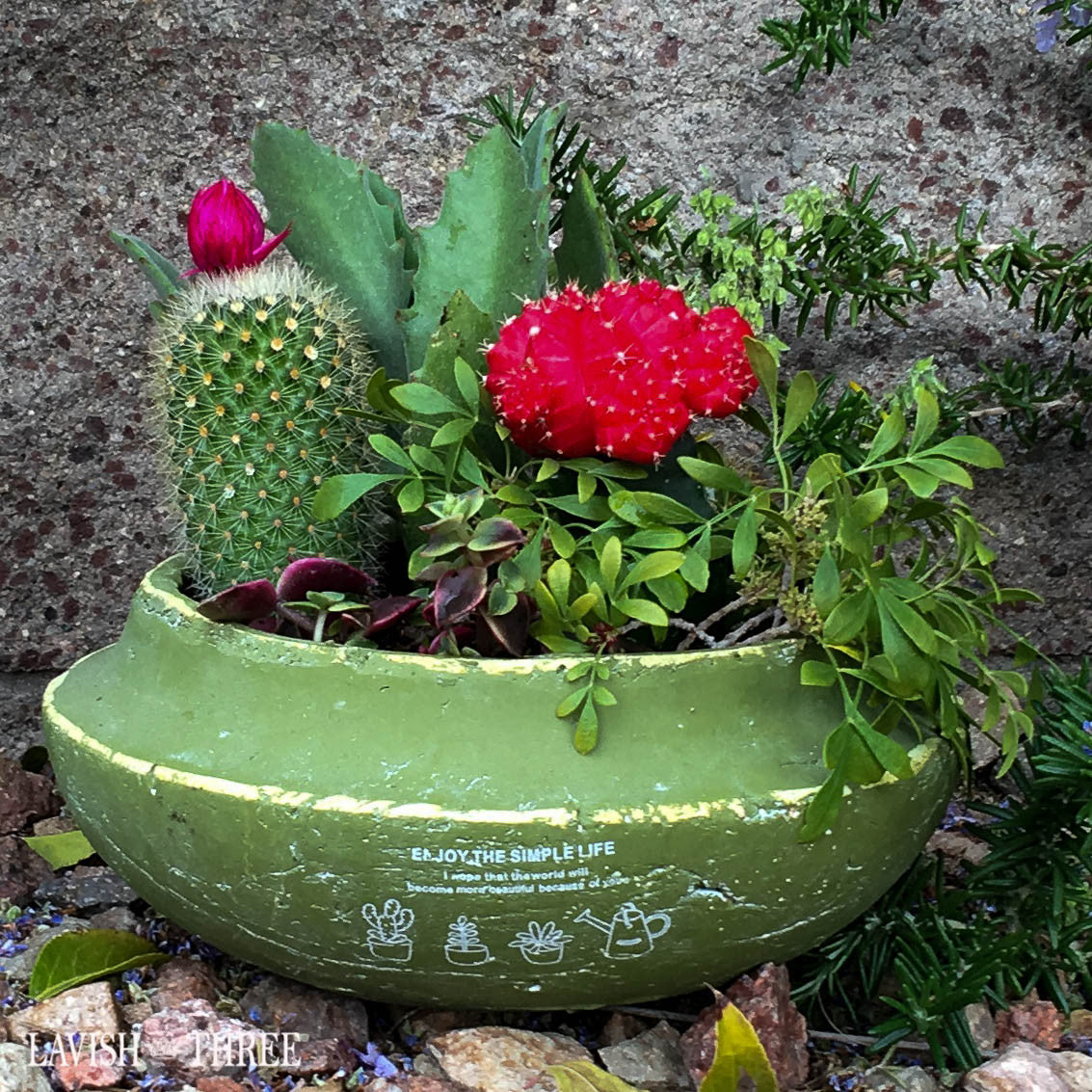 Olive green shallow cement garden herb succulent flower pot planter