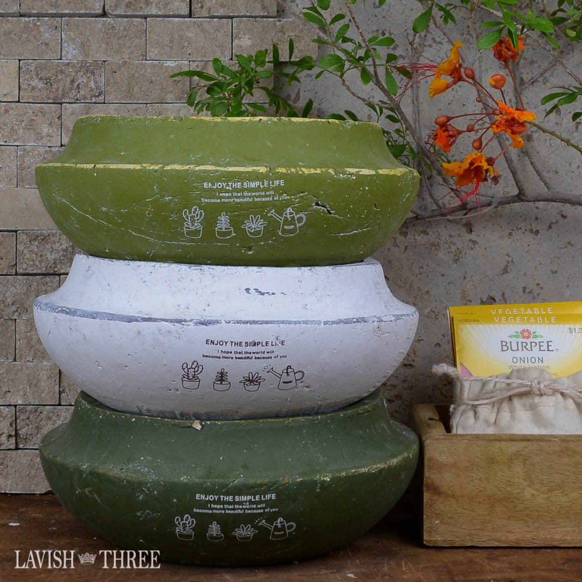 Olive green shallow cement garden herb succulent flower pot planter