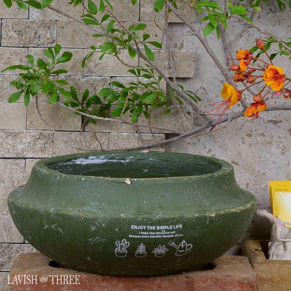 Olive green shallow cement garden herb succulent flower pot planter