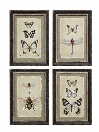 Distressed wood frame with vintage insect prints wall art decor collage