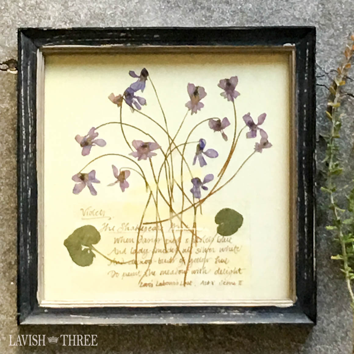 Violet framed vintage botanical floral print wall art decor