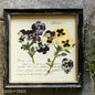 Perfect pansies framed vintage botanical floral print wall art decor