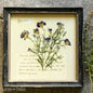 Romantic Bachelors buttons floral botanical framed art print rustic Lavish three 3